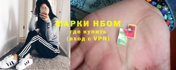 шишки Арсеньев