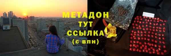 шишки Арсеньев