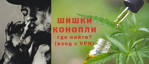 шишки Арсеньев