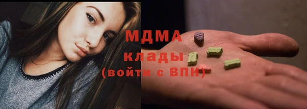 шишки Арсеньев