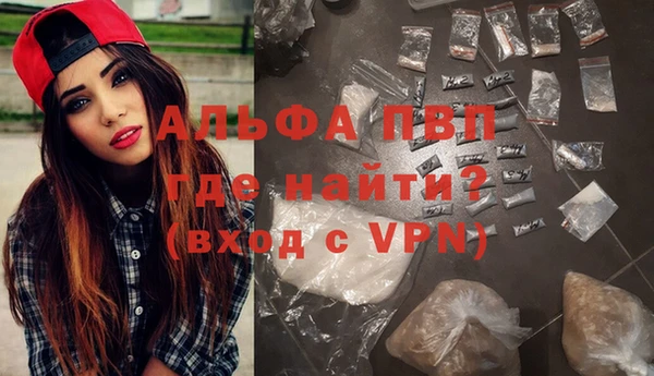 шишки Арсеньев