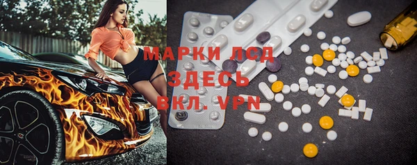 шишки Арсеньев