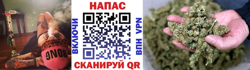 Каннабис Bruce Banner Саяногорск
